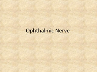 Ophthalmic Nerve

1

 
