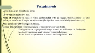 Toxoplasmosis
Causative agent: Toxoplasma gondii
Lifecycle: cats (definitive host)
Mode of transmission: food or water contaminated with cat faeces, transplacentally or after
leukocyte transfusion & organ transplantation (Tachyzoites transported via lymphatics to eyes)
Most commonly affected age: childhood.
Ocular presentation: commonest cause of posterior uveitis worldwide.
During quiescent, asymptomatic stage: scarred, retinal lesions on fundoscopy
Most active cases are reactivation of congenital disease.
Active ocular toxoplasmosis in normal host: u/l painless DOV.
 