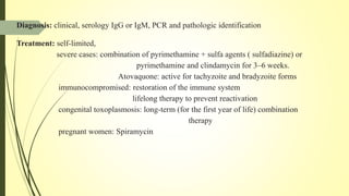 Diagnosis: clinical, serology IgG or IgM, PCR and pathologic identification
Treatment: self-limited,
severe cases: combination of pyrimethamine + sulfa agents ( sulfadiazine) or
pyrimethamine and clindamycin for 3–6 weeks.
Atovaquone: active for tachyzoite and bradyzoite forms
immunocompromised: restoration of the immune system
lifelong therapy to prevent reactivation
congenital toxoplasmosis: long-term (for the first year of life) combination
therapy
pregnant women: Spiramycin
 