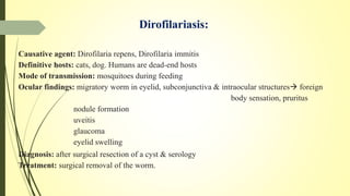Dirofilariasis:
Causative agent: Dirofilaria repens, Dirofilaria immitis
Definitive hosts: cats, dog. Humans are dead-end hosts
Mode of transmission: mosquitoes during feeding
Ocular findings: migratory worm in eyelid, subconjunctiva & intraocular structures foreign
body sensation, pruritus
nodule formation
uveitis
glaucoma
eyelid swelling
Diagnosis: after surgical resection of a cyst & serology
Treatment: surgical removal of the worm.
 