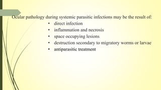 Ocular pathology during systemic parasitic infections may be the result of:
• direct infection
• inflammation and necrosis
• space occupying lesions
• destruction secondary to migratory worms or larvae
• antiparasitic treatment
 