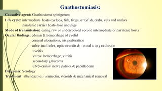 Gnathostomiasis:
Causative agent: Gnathostoma spinigerum
Life cycle: intermediate hosts-cyclops, fish, frogs, crayfish, crabs, eels and snakes
paratenic carrier hosts-fowl and pigs
Mode of transmission: eating raw or undercooked second intermediate or paratenic hosts
Ocular findings: edema & hemorrhage of eyelid
corneal ulcerations, iris perforation
subretinal holes, optic neuritis & retinal artery occlusion
uveitis
vitreal hemorrhage, vitritis
secondary glaucoma
CNS-cranial nerve palsies & papilledema
Diagnosis: Serology
Treatment: albendazole, ivermectin, steroids & mechanical removal
 