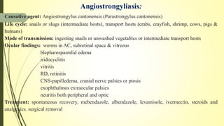 Angiostrongyliasis:
Causative agent: Angiostrongylus cantonensis (Parastrongylus cantonensis)
Life cycle: snails or slugs (intermediate hosts), transport hosts (crabs, crayfish, shrimp, cows, pigs &
humans)
Mode of transmission: ingesting snails or unwashed vegetables or intermediate transport hosts
Ocular findings: worms in AC, subretinal space & vitreous
blepharospasmlid edema
iridocyclitis
vitritis
RD, retinitis
CNS-papilledema, cranial nerve palsies or ptosis
exophthalmos extraocular palsies
neuritis both peripheral and optic
Treatment: spontaneous recovery, mebendazole, albendazole, levamisole, ivermectin, steroids and
analgesics. surgical removal
 