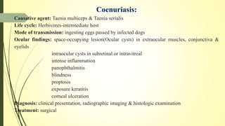 Coenuriasis:
Causative agent: Taenia multiceps & Taenia serialis
Life cycle: Herbivores-intermediate host
Mode of transmission: ingesting eggs passed by infected dogs
Ocular findings: space-occupying lesion(Ocular cysts) in extraocular muscles, conjunctiva &
eyelids
intraocular cysts in subretinal or intravitreal
intense inflammation
panophthalmitis
blindness
proptosis
exposure keratitis
corneal ulceration
Diagnosis: clinical presentation, radiographic imaging & histologic examination
Treatment: surgical
 