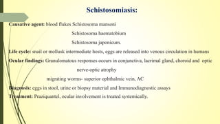 Schistosomiasis:
Causative agent: blood flukes Schistosoma mansoni
Schistosoma haematobium
Schistosoma japonicum.
Life cycle: snail or mollusk intermediate hosts, eggs are released into venous circulation in humans
Ocular findings: Granulomatous responses occurs in conjunctiva, lacrimal gland, choroid and optic
nerve-optic atrophy
migrating worms- superior ophthalmic vein, AC
Diagnosis: eggs in stool, urine or biopsy material and Immunodiagnostic assays
Treatment: Praziquantel, ocular involvement is treated systemically.
 