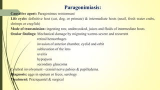 Paragonimiasis:
Causative agent: Paragonimus westermani
Life cycle: definitive host (cat, dog, or primate) & intermediate hosts (snail, fresh water crabs,
shrimps or crayfish)
Mode of transmission: ingesting raw, undercooked, juices and fluids of intermediate hosts
Ocular findings: Mechanical damage by migrating worms-severe and recurrent
retinal hemorrhages
invasion of anterior chamber, eyelid and orbit
subluxation of the lens
uveitis
hypopyon
secondary glaucoma
Cerebral involvement - cranial nerve palsies & papilledema.
Diagnosis: eggs in sputum or feces, serology
Treatment: Praziquantel & surgical
 