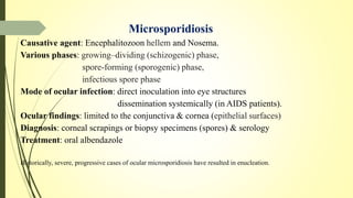 Microsporidiosis
Causative agent: Encephalitozoon hellem and Nosema.
Various phases: growing–dividing (schizogenic) phase,
spore-forming (sporogenic) phase,
infectious spore phase
Mode of ocular infection: direct inoculation into eye structures
dissemination systemically (in AIDS patients).
Ocular findings: limited to the conjunctiva & cornea (epithelial surfaces)
Diagnosis: corneal scrapings or biopsy specimens (spores) & serology
Treatment: oral albendazole
Historically, severe, progressive cases of ocular microsporidiosis have resulted in enucleation.
 