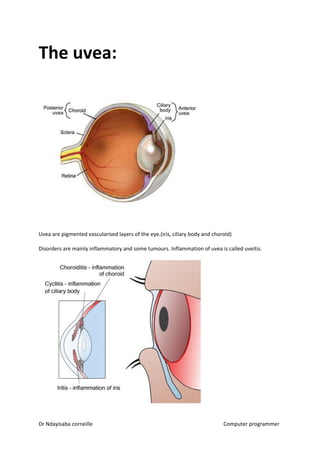 The uvea:
Uvea are pigmented vascularised layers of the eye.(iris, ciliary body and choroid)
Disorders are mainly inflammatory and some tumours. Inflammation of uvea is called uveitis.
Dr Ndayisaba corneille Computer programmer
 
