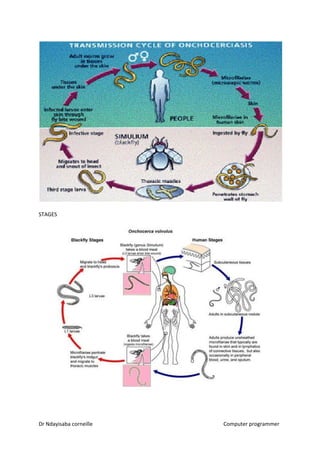 STAGES
Dr Ndayisaba corneille Computer programmer
 