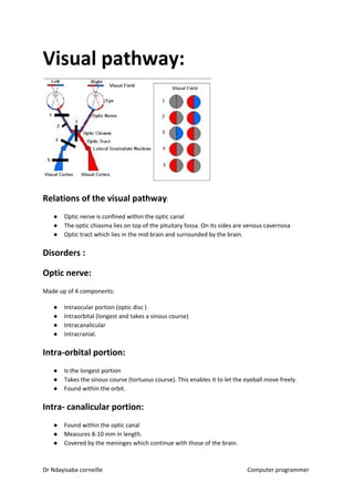 Visual pathway:
Relations of the visual pathway​​:
● Optic nerve is confined within the optic canal
● The optic chiasma lies on top of the pituitary fossa. On its sides are venous cavernosa
● Optic tract which lies in the mid brain and surrounded by the brain.
Disorders :
Optic nerve:
Made up of 4 components:
● Intraocular portion (optic disc )
● Intraorbital (longest and takes a sinous course)
● Intracanalicular
● Intracranial.
Intra-orbital portion:
● Is the longest portion
● Takes the sinous course (tortuous course). This enables it to let the eyeball move freely.
● Found within the orbit.
Intra- canalicular portion:
● Found within the optic canal
● Measures 8-10 mm in length.
● Covered by the meninges which continue with those of the brain.
Dr Ndayisaba corneille Computer programmer
 