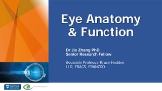 Eye Anatomy
& Function
Dr Jie Zhang PhD
Senior Research Fellow
Associate Professor Bruce Hadden
LLD, FRACS, FRANZCO
 