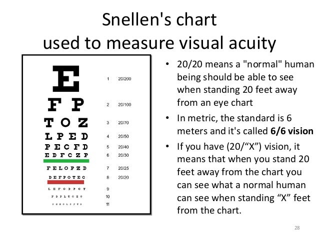 ophthalmology ospe cc