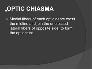 „OPTIC CHIASMA
 Medial fibers of each optic nerve cross
the midline and join the uncrossed
lateral fibers of opposite side, to form
the optic tract.
 