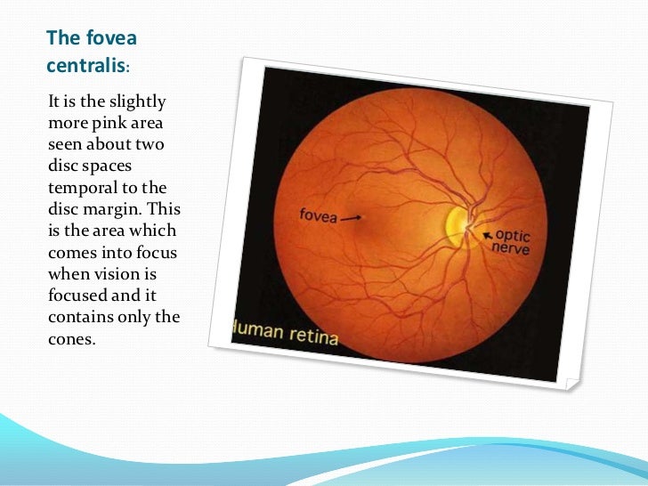 Ophthalmoscopic examination
