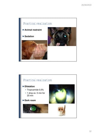 26/04/2010




Practical realization
►Animal restraint

►Sedation




Practical realization
►Dilatation
   Tropicamide 0,5%
   1 drop ev. 5 min for
    20 min

►Dark room




                                  12
 