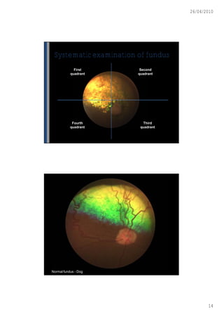 26/04/2010




 Systematic examination of fundus
             First       Second
           quadrant     quadrant




            Fourth        Third
           quadrant      quadrant




Normal fundus - Dog




                                           14
 