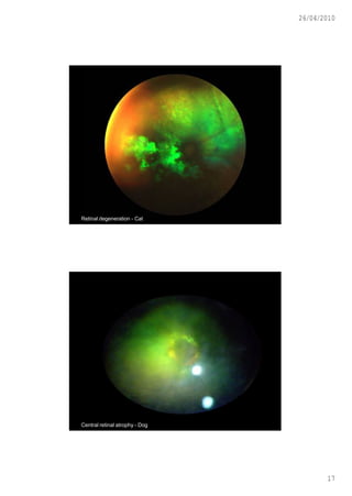 26/04/2010




Retinal degeneration - Cat




Central retinal atrophy - Dog




                                       17
 