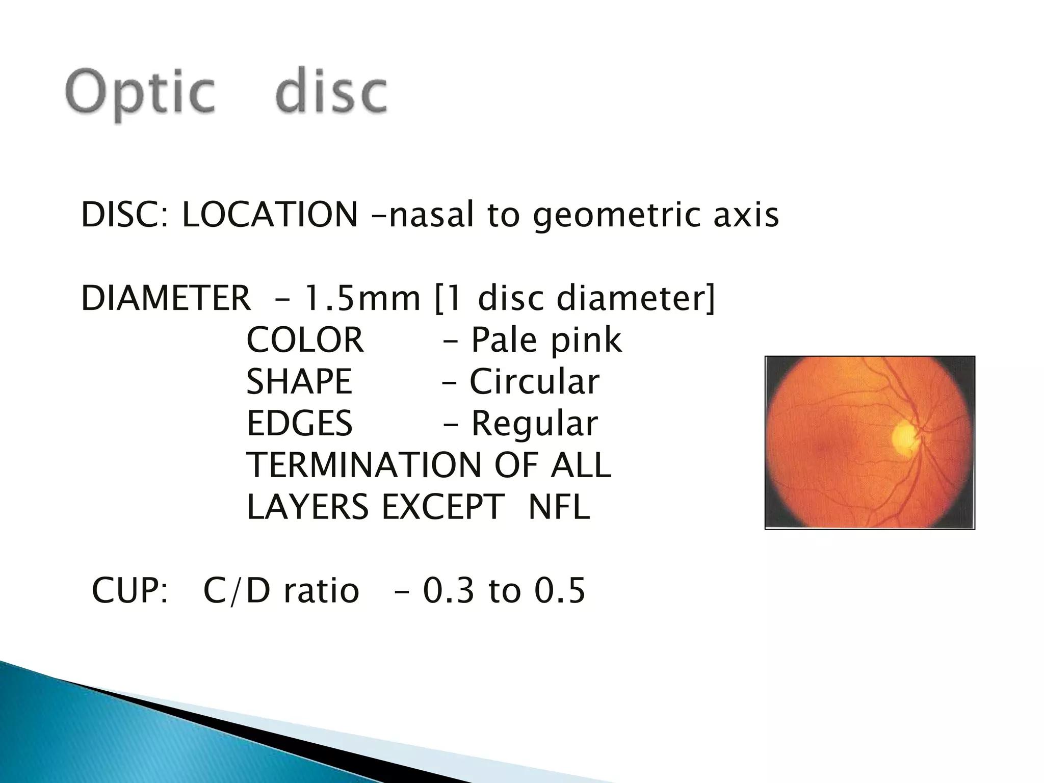 Disc Measurement Ophthalmoscopy | PPTX