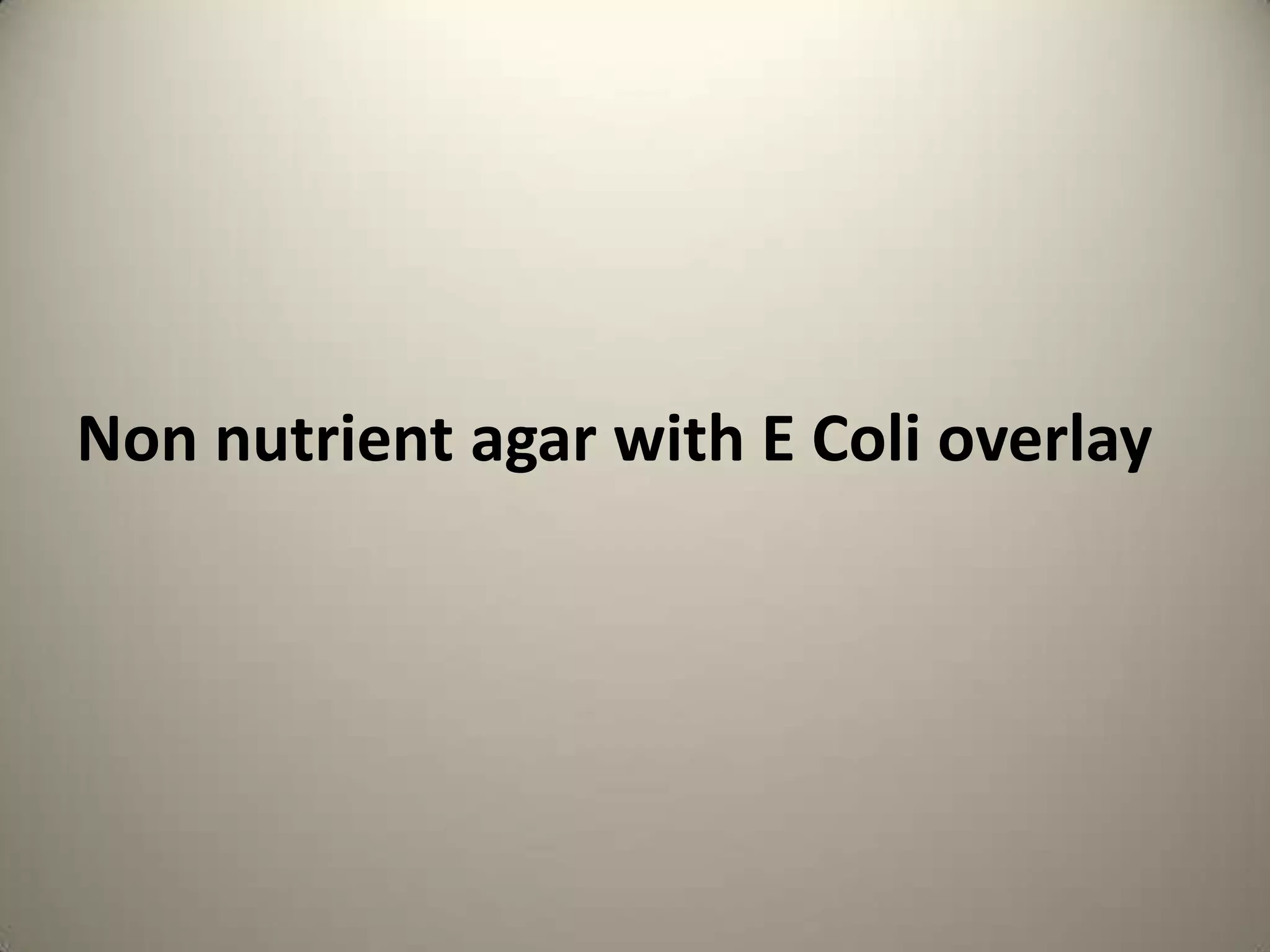        RIOGOH CHENNAIDr.R.E.SMuthaiah