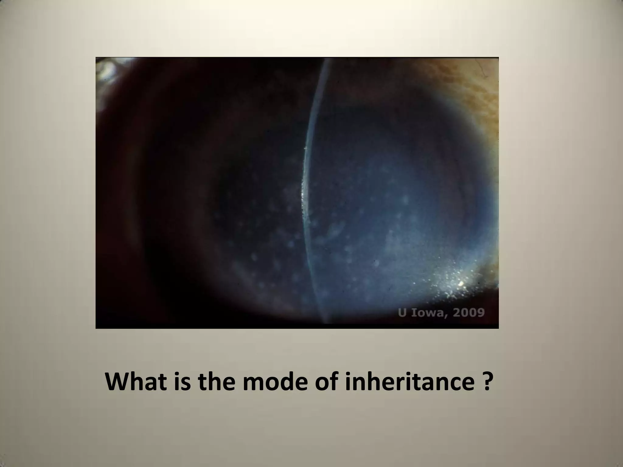 What is the culture medium used for isolating the organism?
