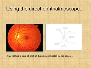 Using the direct ophthalmoscope…
You will find a word at each of the points indicated by the boxes…
 