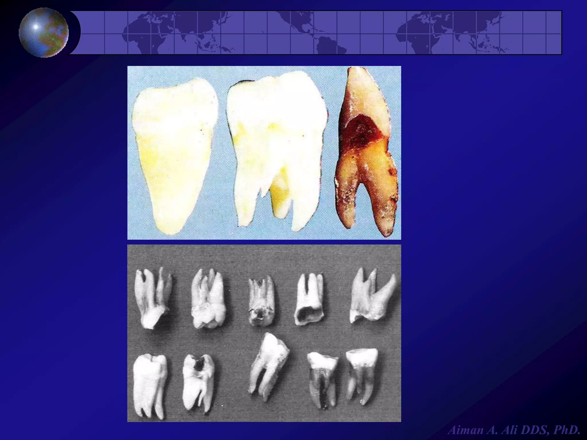 Aiman A. Ali DDS, PhD.

 