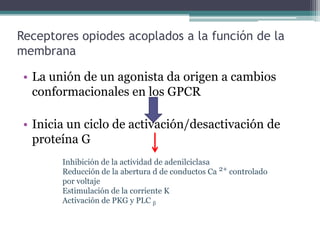 Receptores opiodes acoplados a la función de la
membrana
• La unión de un agonista da origen a cambios
conformacionales en los GPCR
• Inicia un ciclo de activación/desactivación de
proteína G
Inhibición de la actividad de adenilciclasa
Reducción de la abertura d de conductos Ca 2+ controlado
por voltaje
Estimulación de la corriente K
Activación de PKG y PLC β
 