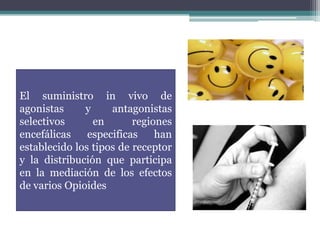 El suministro in vivo de
agonistas y antagonistas
selectivos en regiones
encefálicas especificas han
establecido los tipos de receptor
y la distribución que participa
en la mediación de los efectos
de varios Opioides
 