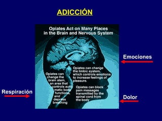 ADICCIÓN Emociones Dolor Respiración 