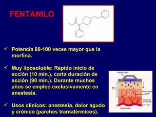 Potencia 80-100 veces mayor que la morfina.  Muy liposoluble: Rápido inicio de acción (10 min.), corta duración de acción (90 min.). Durante muchos años se empleó exclusivamente en anestesia. Usos clínicos: anestesia, dolor agudo y crónico (parches transdérmicos). FENTANILO 