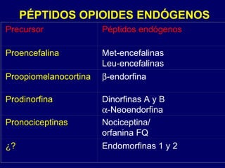 PÉPTIDOS OPIOIDES ENDÓGENOS Precursor Péptidos endógenos Proencefalina Met-encefalinas Leu-encefalinas Proopiomelanocortina  -endorfina Prodinorfina Dinorfinas A y B  -Neoendorfina Pronociceptinas Nociceptina/ orfanina FQ ¿? Endomorfinas 1 y 2 