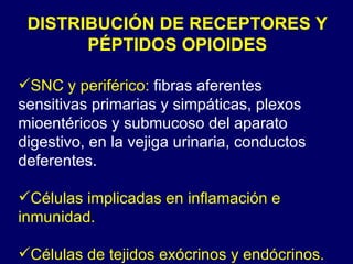 DISTRIBUCIÓN DE RECEPTORES Y PÉPTIDOS OPIOIDES SNC y periférico:  fibras aferentes sensitivas primarias y simpáticas, plexos mioentéricos y submucoso del aparato digestivo, en la vejiga urinaria, conductos deferentes. Células implicadas en inflamación e inmunidad. Células de tejidos exócrinos y endócrinos. 