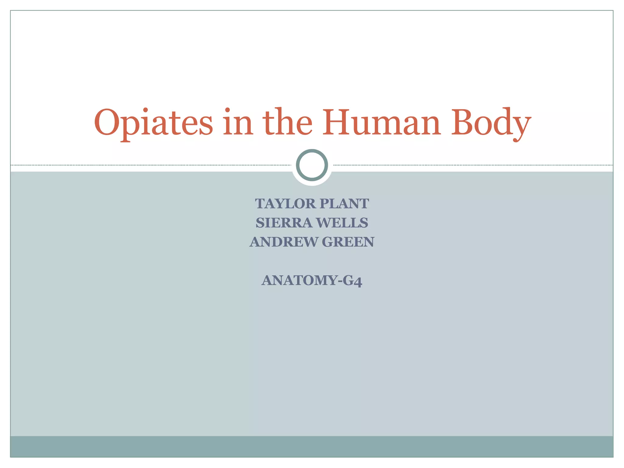 Mind Blowing Discovery What Opiates Share With Your Body - ghufj7k