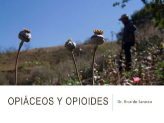 OPIÁCEOS Y OPIOIDES Dr. Ricardo Saracco
 