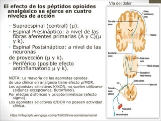 El efecto de los péptidos opioides
analgésico se ejerce en cuatro
niveles de acción
• Supraespinal (central) (µ).
• Espinal Presináptico: a nivel de las
fibras aferentes primarias (A y C)(µ
y k).
• Espinal Postsináptico: a nivel de las
neuronas
de proyección (µ y k).
• Periférico (posible efecto
antinflamatorio µ y k).
NOTA: La mayoría de los agonistas opiodes
de uso clinico en analgesia tiene efecto µ/MOR.
Los agonistas selectivos K/KOR, no suelen utilizarse
(algunas excepciones, butorfanol).
Por efectos disfóricos y psicotomiméticos (efecto
sigma).
Los agonistas selectivos d/DOR no poseen actividad
clínica.
https://infograph.venngage.com/p/159029/via-somatosensorial
Vía del dolor
 