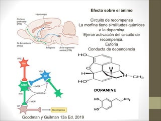 Efecto sobre el ánimo
Circuito de recompensa
La morfina tiene similitudes químicas
a la dopamina
Ejerce activación del circuito de
recompensa.
Euforia
Conducta de dependencia
Goodman y Guilman 13a Ed. 2019
 