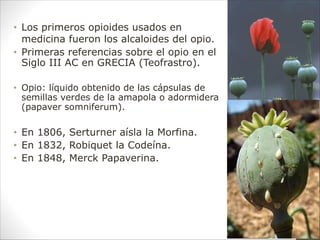 • Los primeros opioides usados en
medicina fueron los alcaloides del opio.
• Primeras referencias sobre el opio en el
Siglo III AC en GRECIA (Teofrastro).
• Opio: líquido obtenido de las cápsulas de
semillas verdes de la amapola o adormidera
(papaver somniferum).
• En 1806, Serturner aísla la Morfina.
• En 1832, Robiquet la Codeína.
• En 1848, Merck Papaverina.
 