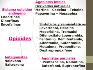 Opioides
Antagonistas
Naloxona
Naltrexona
Sistema opioideo
endógeno
Endorfinas
Dinorfinas
Encefalinas
Agonistas totales
Derivados naturales
Morfina - Codeína - Tebaína-
Papaverina – Noscapina
Sintéticos y semisintéticos
Levorfanol, Heroina
Meperidina, Tramadol
Difenoxilato,Loperamida,
Fentanilo, Remifentanilo,
Alfentanilo, Sufentanilo.
Metadona, Propoxifeno,
Dextropropoxifeno
Agonistas parciales
•Pentazocina, Nalbufina,
Butorfanol, Buprenorfina
 