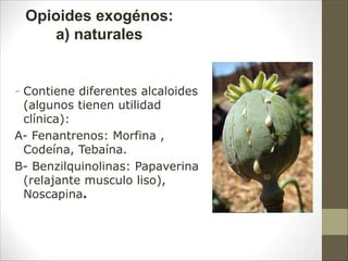 - Contiene diferentes alcaloides
(algunos tienen utilidad
clínica):
A- Fenantrenos: Morfina ,
Codeína, Tebaína.
B- Benzilquinolinas: Papaverina
(relajante musculo liso),
Noscapina.
Opioides exogénos:
a) naturales
 