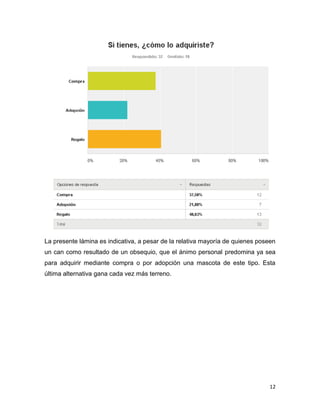 El sondeo refleja que la mayoría tienen un can en casa, lo que no resulta
determinante para fundamentar el ánimo de los consultados totales respecto al
tema. Es decir, la proclividad o no a la adopción canina no tendría como base la
experiencia previa con un perro propio.

12

 