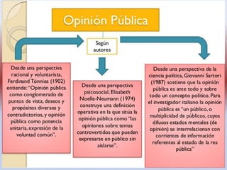 Opinion Pública