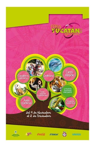 Opiniondeyucatan.com 26