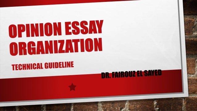 opinion essay organization essay organization