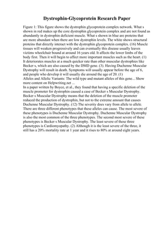 Dystrophin-Glycoprotein Research Paper
Figure 1: This figure shows the dystrophin glycoprotein complex network. What s
shown in red makes up the core dystrophin glycoprotein complex and are not found as
abundantly in dystrophin deficient muscle. What s shown in blue are proteins that
are more abundant when there are low dystrophin levels. The white shows structural
proteins that directly interact with the dystrophin glycoprotein complex. (16) Muscle
tissues will weaken progressively and can eventually this disease usually leaves
victims wheelchair bound at around 16 years old. It affects the lower limbs of the
body first. Then it will begin to affect more important muscles such as the heart. (1)
It deteriorates muscles at a much quicker rate than other muscular dystrophies like
Becker s, which are also caused by the DMD gene. (3). Having Duchenne Muscular
Dystrophy will result in death. Symptoms will usually appear before the age of 6,
and people who develop it will usually die around the age of 20. (1)
Alleles and Allelic Variants: The wild type and mutant alleles of this gene... Show
more content on Helpwriting.net ...
In a paper written by Boyce, et al., they found that having a specific deletion of the
muscle promoter for dystrophin caused a case of Becker s Muscular Dystrophy.
Becker s Muscular Dystrophy means that the deletion of the muscle promoter
reduced the production of dystrophin, but not to the extreme amount that causes
Duchenne Muscular Dystrophy. (12) The severity does vary from allele to allele.
There are three different phenotypes that these alleles can cause. The most severe of
these phenotypes is Duchenne Muscular Dystrophy. Duchenne Muscular Dystrophy
is also the most common of the three phenotypes. The second most severe of these
phenotypes is Becker s Muscular Dystrophy. The least severe of these three
phenotypes is Cardiomyopathy. (2) Although it is the least severe of the three, it
still has a 20% mortality rate at 1 year and it rises to 80% at around eight years.
 
