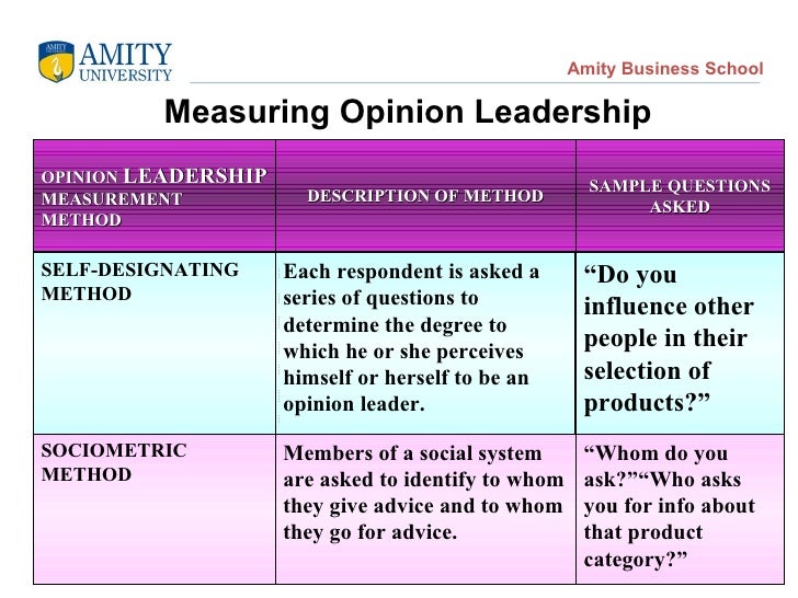Opinion Leadership Edited