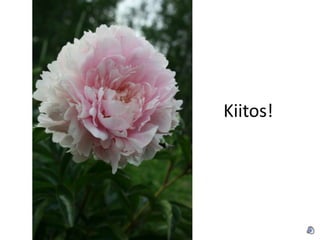 Kiitos!
 