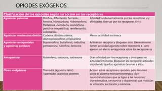 OPIODES EXÓGENOS
Clasificación de los opioides según su acción en los receptores
Agonistas potentes Morfina, Alfentanilo, fentanilo,
heroína, hidrocodona, hidromorfona,
Metadona, oxicodona, oximorfona,
petidina (meperidina), remifentanilo,
sufentanilo.
Afinidad fundamentalmente por los receptores u y
afinidades diversas por los receptores δ y κ.
Agonistas moderados/debiles Codeína, dihidrocodeina,
dextropropoxifeno, propoxifeno
Menor actividad intrínseca
Agonistas-antagonistas
y agonistas parciales
Buprenorfina, butorfanol, nalbufina,
pentazocina, nalorfina, dezocina
Activan un receptor y bloquean otro. Generalmente
tienen actividad agonista sobre receptores k, pero
ejercen un efecto antagonista sobre los receptores u
Antagonistas Nalmefeno, naloxona, naltrexona Gran afinidad por los receptores u (mu) pero sin
actividad intrínseca. Bloquean los receptores opioides
impidiendo que los agonistas de unan a ellos.
Otros analgésicos Tramadol (agonista débil)
Tapentadol (agonista potente)
Actúan sobre receptores opioides, pero también
sobre el sistema monoaminonergico (Son
neurotransmisores que se ligan a las neuronas:
(noradrenalina, serotonina o dopamina) que modulan
la emoción, excitación y memoria.
 