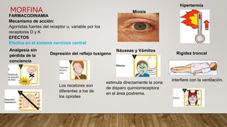 MORFINA
FARMACODINAMIA
Mecanismo de acción:
Agonistas fuertes del receptor u, variable por los
receptores D y K
EFECTOS
Efectos en el sistema nervioso central
Analgesia sin
pérdida de la
conciencia
Depresión del reflejo tusígeno
Los recetores son
diferentes a los de
los opiodes
Miosis
interfiere con la ventilación.
Rigidez troncal
Náuseas y Vómitos
estimula directamente la zona
de disparo quimiorreceptora
en el área postrema.
hipertermia
 