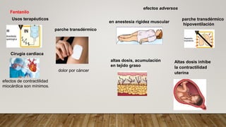Altas dosis inhibe
la contractilidad
uterina
Fentanilo
Usos terapéuticos
efectos de contractilidad
miocárdica son mínimos.
Cirugia cardiaca
parche transdérmico
dolor por cáncer
efectos adversos
en anestesia rigidez muscular
parche transdérmico
hipoventilación
altas dosis, acumulación
en tejido graso
 