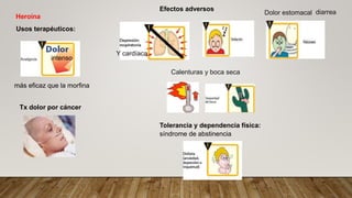 Usos terapéuticos:
Heroína
Efectos adversos
más eficaz que la morfina
intenso
Tx dolor por cáncer
Tolerancia y dependencia física:
síndrome de abstinencia
Y cardíaca
Calenturas y boca seca
Dolor estomacal diarrea
 
